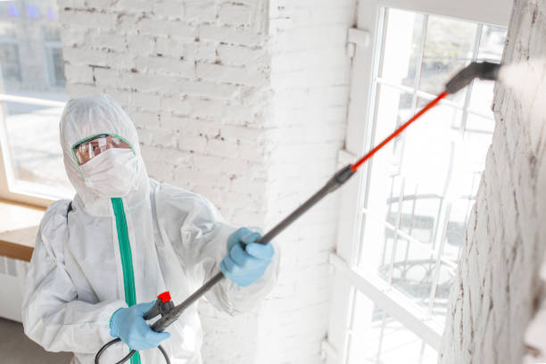 Best Airborne Mold Testing  in Lakewood Ranch, FL