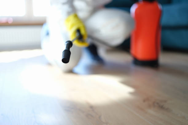 Best Water Damage & Mold Remediation  in Lakewood Ranch, FL