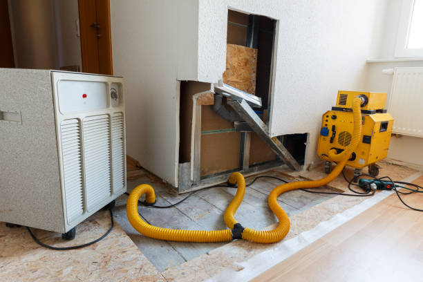 Best Post-Construction Mold Inspection  in Lakewood Ranch, FL