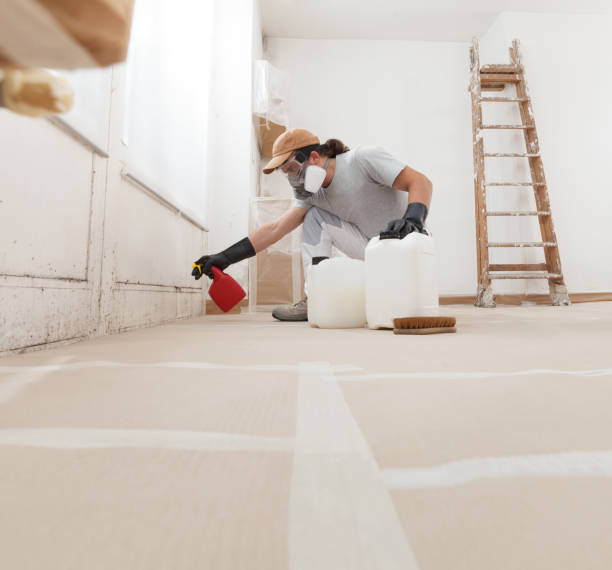 Best Indoor Air Quality Assessment  in Lakewood Ranch, FL